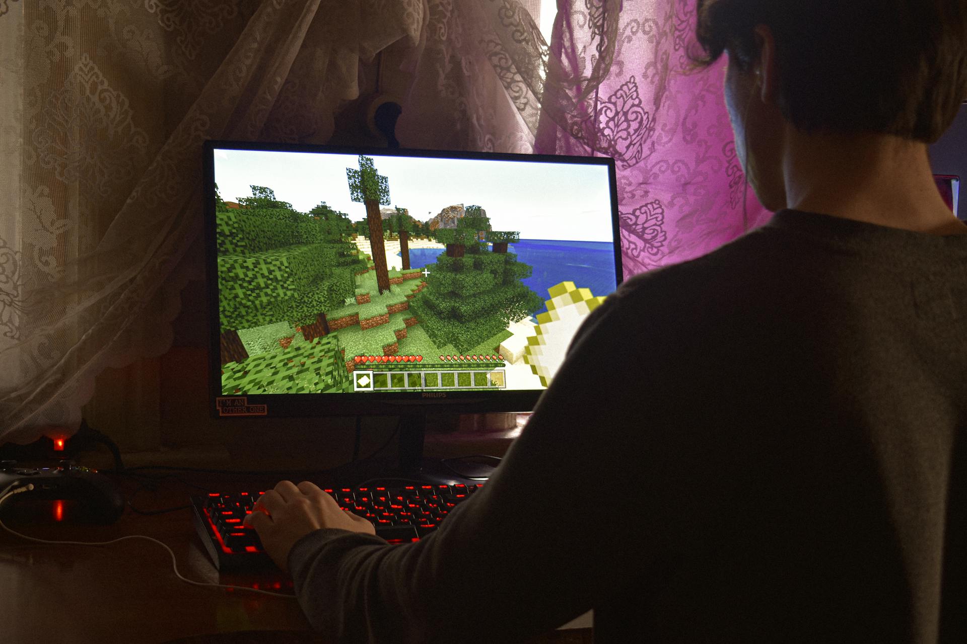 person playing minecraft
