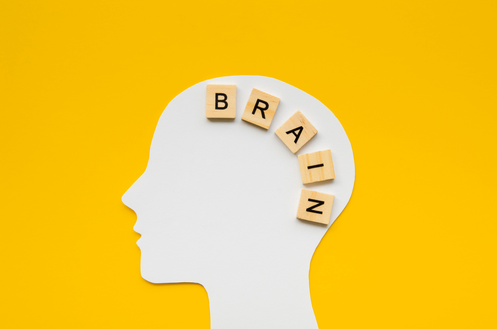 Brain